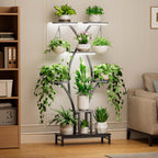 Plant Stand