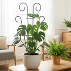 Plant Trellis for Potted Plants (4 Pack)