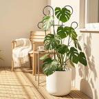 Plant Trellis for Potted Plants (4 Pack)