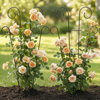 Plant Trellis for Potted Plants (4 Pack)