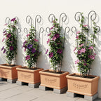 Plant Trellis for Potted Plants (4 Pack)