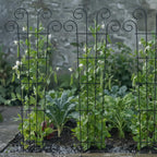 Plant Trellis for Potted Plants (4 Pack)
