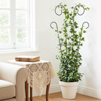Plant Trellis for Potted Plants (4 Pack)