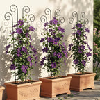 Plant Trellis for Potted Plants (4 Pack)