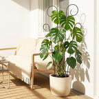 Plant Trellis for Potted Plants (4 Pack)