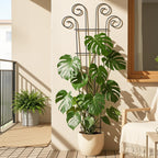 Plant Trellis for Potted Plants (4 Pack)