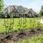 Plant Trellis for Potted Plants (4 Pack)