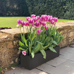 Planter Reinforced Stone Window Box Narrow Trough