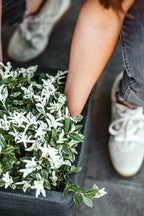 Planter Square Rib Nl Opening ø42