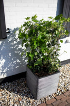 Planter Square Rib Nl Opening ø42