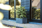 Planter Square Rib Nl Opening ø42