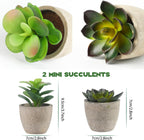 Plants Set 4 Small Fake Potted Eucalyptus Rosemary