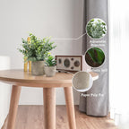 Plants Set 4 Small Fake Potted Eucalyptus Rosemary