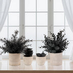 Plants Set 4 Small Fake Potted Eucalyptus Rosemary