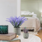 Plants Set 4 Small Fake Potted Eucalyptus Rosemary