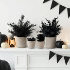 Plants Set 4 Small Fake Potted Eucalyptus Rosemary