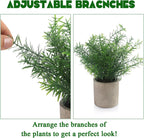 Plants Set 4 Small Fake Potted Eucalyptus Rosemary