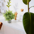 Plants Set 4 Small Fake Potted Eucalyptus Rosemary
