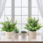 Plants Set 4 Small Fake Potted Eucalyptus Rosemary