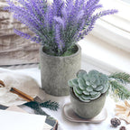 Plants Set 4 Small Fake Potted Eucalyptus Rosemary