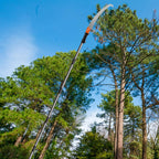 Pole Saws for Tree Trimming 220- Extendable Pruner