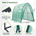 Polytunnel Greenhouse Outdoor: Walk in Poly