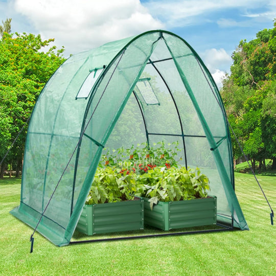 Polytunnel Greenhouse Outdoor: Walk in Poly