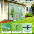 Polytunnel Greenhouse Outdoor: Walk in Poly