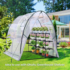 Polytunnel Greenhouse Outdoor: Walk in Poly