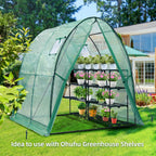 Polytunnel Greenhouse Outdoor: Walk in Poly