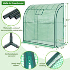 Polytunnel Greenhouse Outdoor: Walk in Poly
