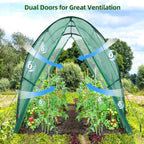 Polytunnel Greenhouse Outdoor: Walk in Poly