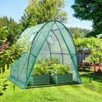 Polytunnel Greenhouse Outdoor: Walk in Poly
