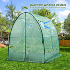 Polytunnel Greenhouse Outdoor: Walk in Poly