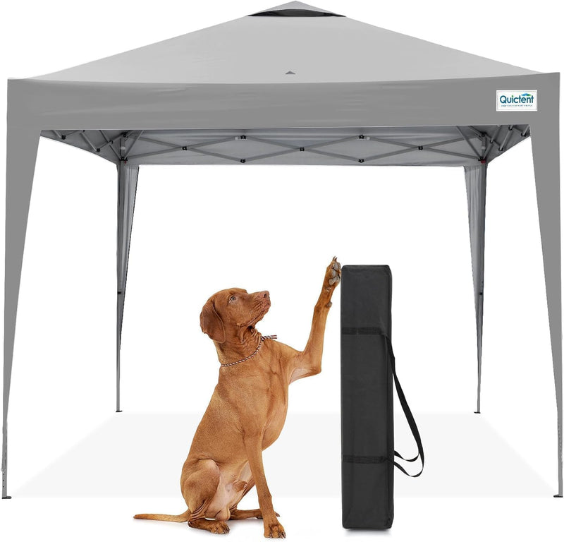 Pop Up Canopy Portable Waterproof Gazebo with Carry