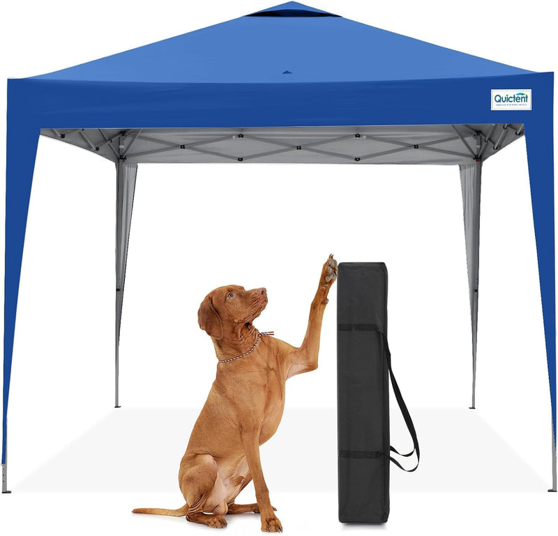 Pop Up Canopy Portable Waterproof Gazebo with Carry