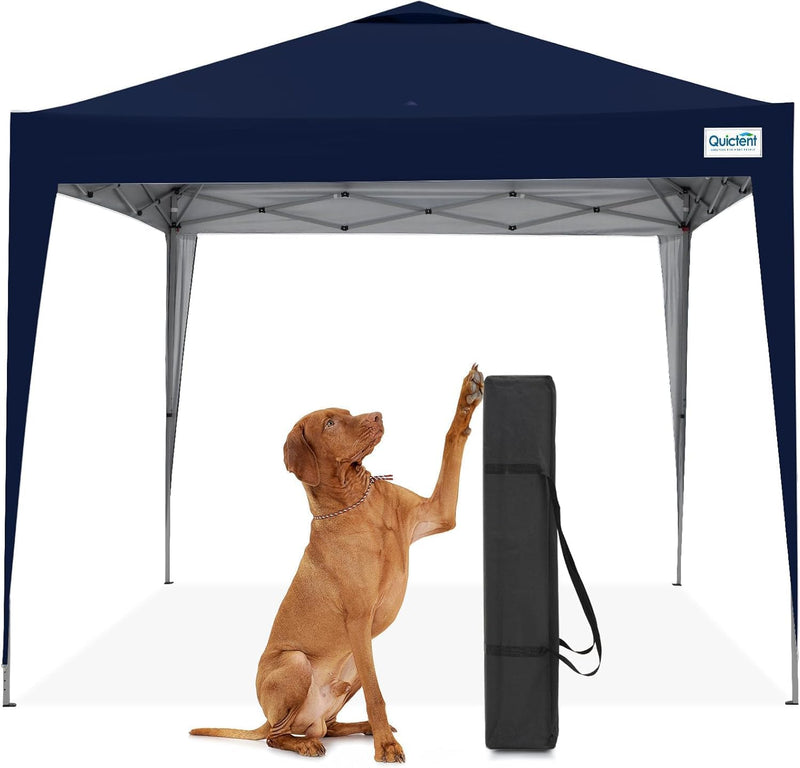 Pop Up Canopy Portable Waterproof Gazebo with Carry