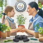 Pot Feet (20 Pack)