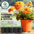 Pot Feet (20 Pack)