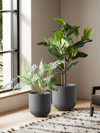 Pots for Plants Ceramic Large Planters
