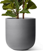 Charcoal Gray