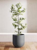 Pots for Plants Ceramic Large Planters