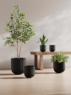 Pots for Plants Ceramic Large Planters