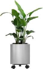 Pots for Plants Stainless Steel Round Rim