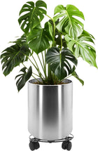 Stainless Steel
