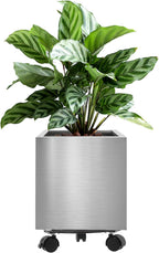 Pots for Plants Stainless Steel Round Rim