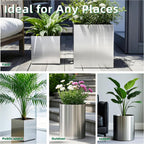 Pots for Plants Stainless Steel Round Rim