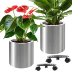 Pots for Plants Stainless Steel Round Rim