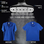 Professional W Garment Steamer