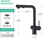 Pull Out Kitchen Sink Tap with Dual Function